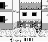 une photo d'Ã©cran de Tintin - Le Temple du Soleil sur Nintendo Game Boy
